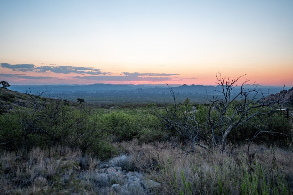 New Mexico