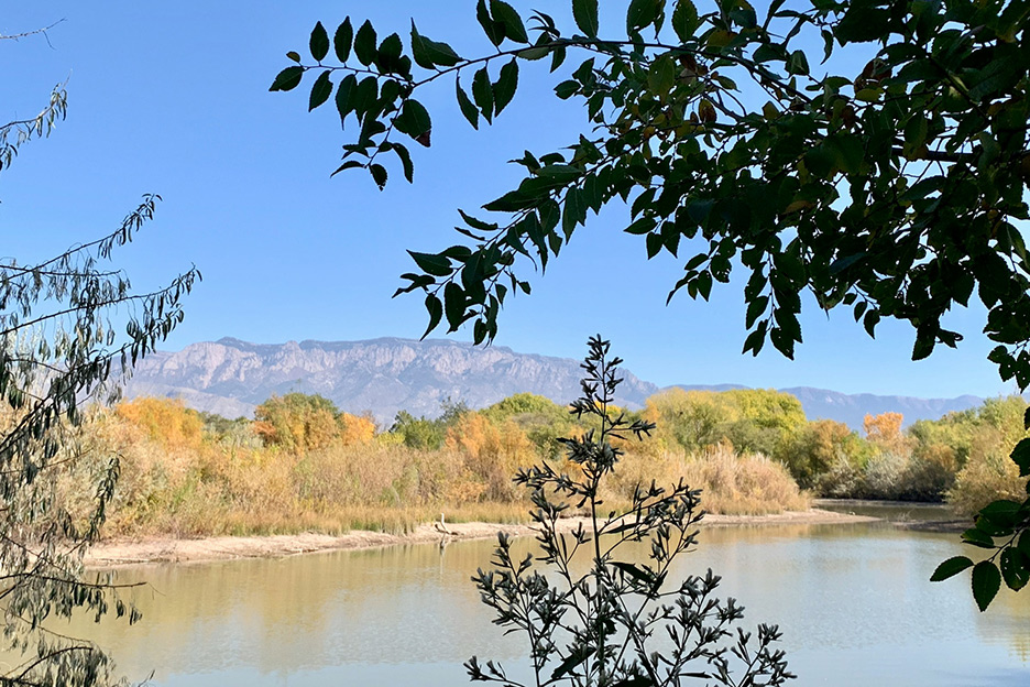 New Mexico Lake
